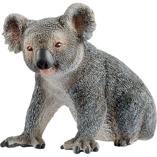 КОАЛА 