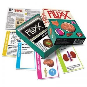 ANATOMY FLUXX