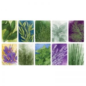 HERBACEOUS