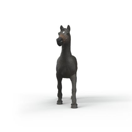 АНГЛИЙСКА ЧИСТОКРЪВНА КОБИЛА